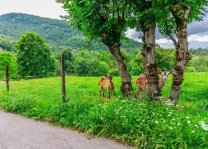 Bellagio Charming Countryside *